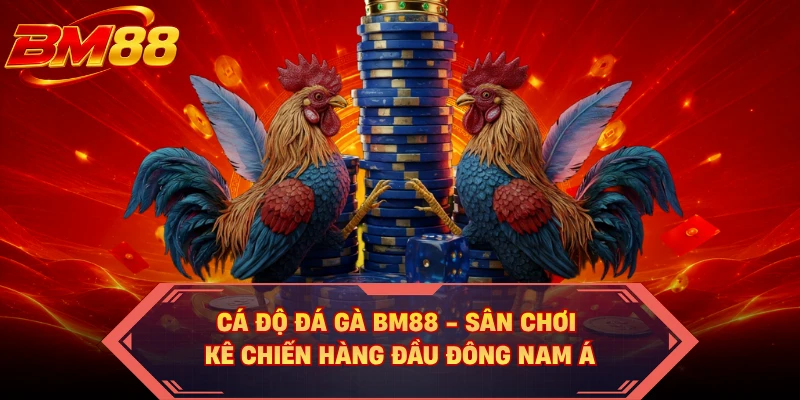Cá Độ Đá Gà BM88 - Sân Chơi Kê Chiến Hàng Đầu Đông Nam Á