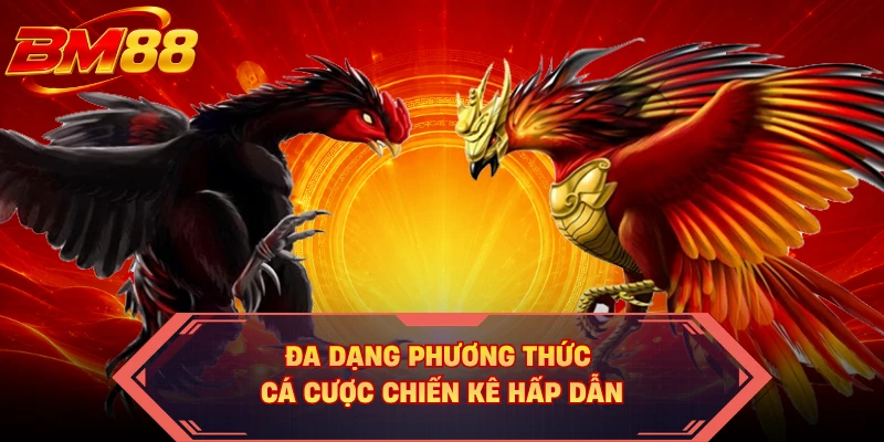 Đa dạng phương thức cá cược chiến kê hấp dẫn