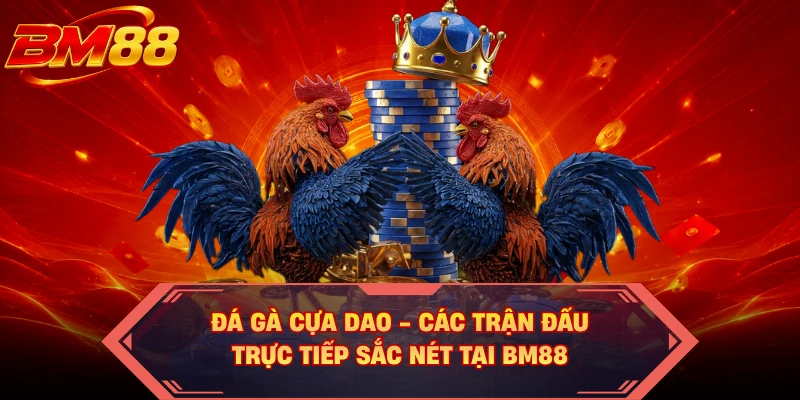 Đá Gà Cựa Dao - Các Trận Đấu Trực Tiếp Sắc Nét Tại BM88