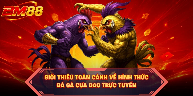Giới thiệu toàn cảnh về hình thức đá gà cựa dao trực tuyến