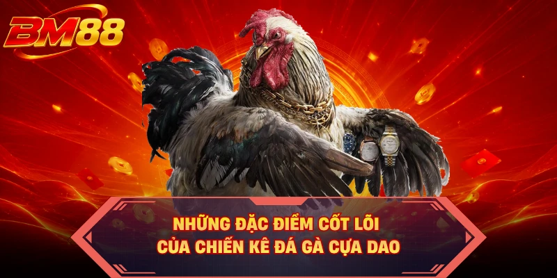 Những đặc điểm cốt lõi của chiến kê đá gà cựa dao