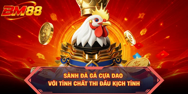 Sảnh đá gà cựa dao với tính chất thi đấu kịch tính